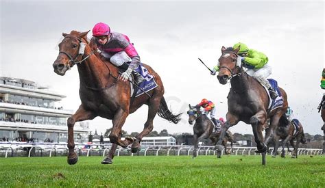 what is a quinella in horse racing|what is a quinella box.